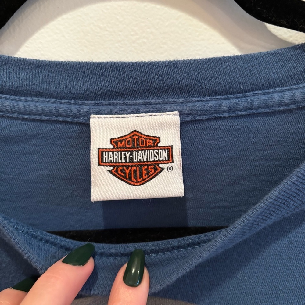 Harley-Davidson Black Hills Rally Sturgis 70th Anniversary 2010 Blue Graphic L - Picture 5 of 11